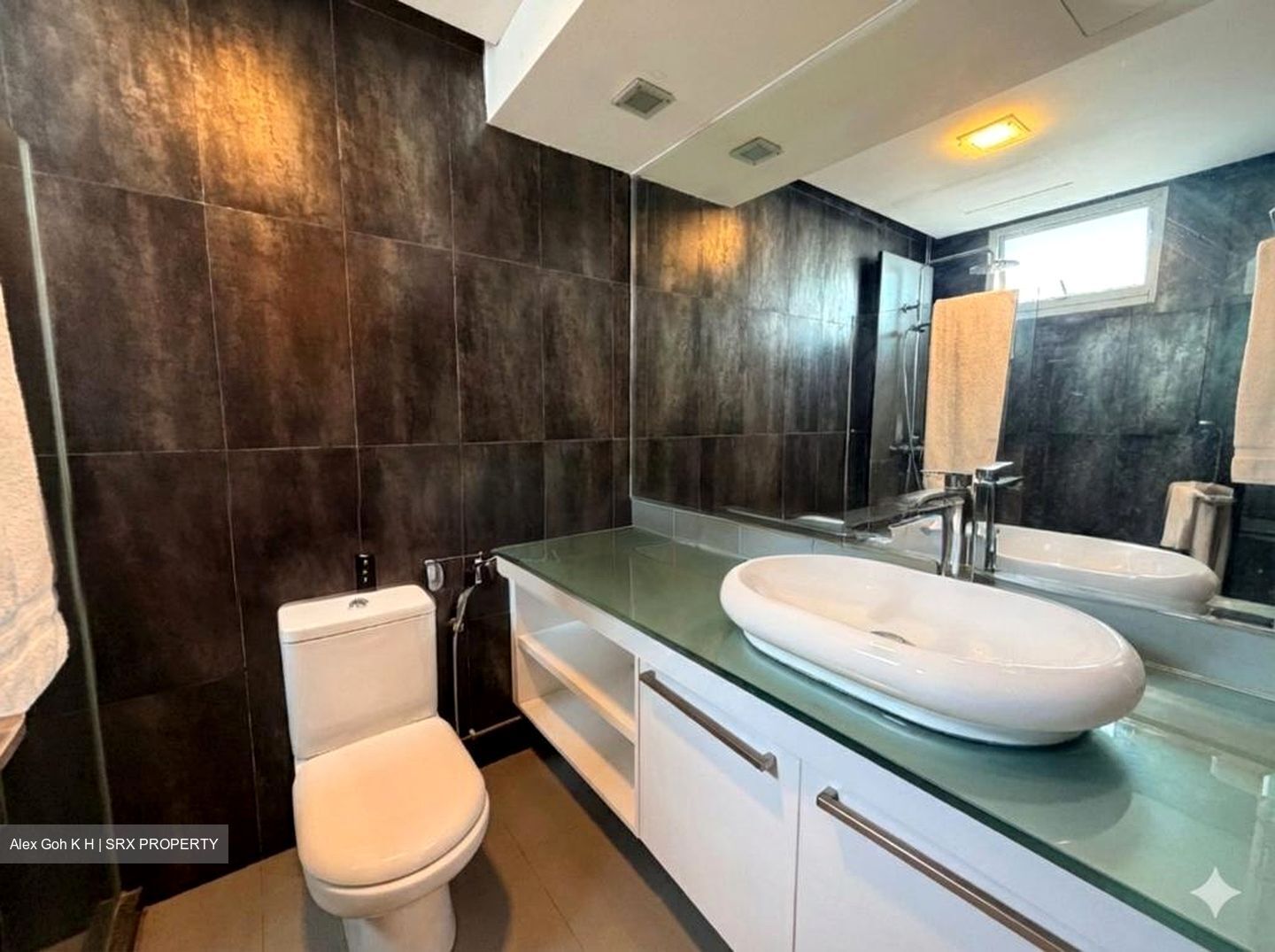 Parkshore (D15), Condominium #527436631